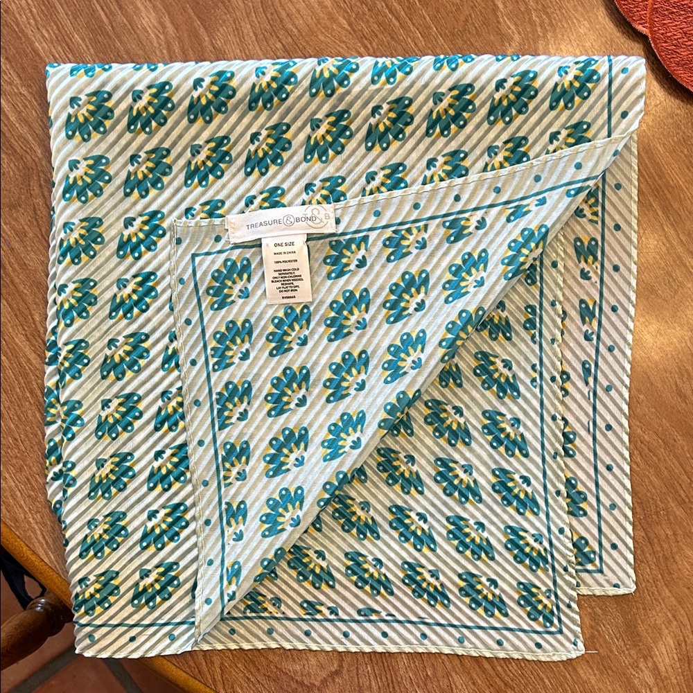 Treasure & Bond satin pleated scarf NWOT